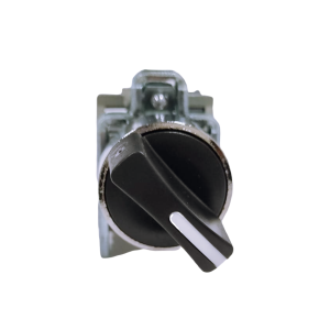 Selector 2 Posiciones Schneider XB4BD21