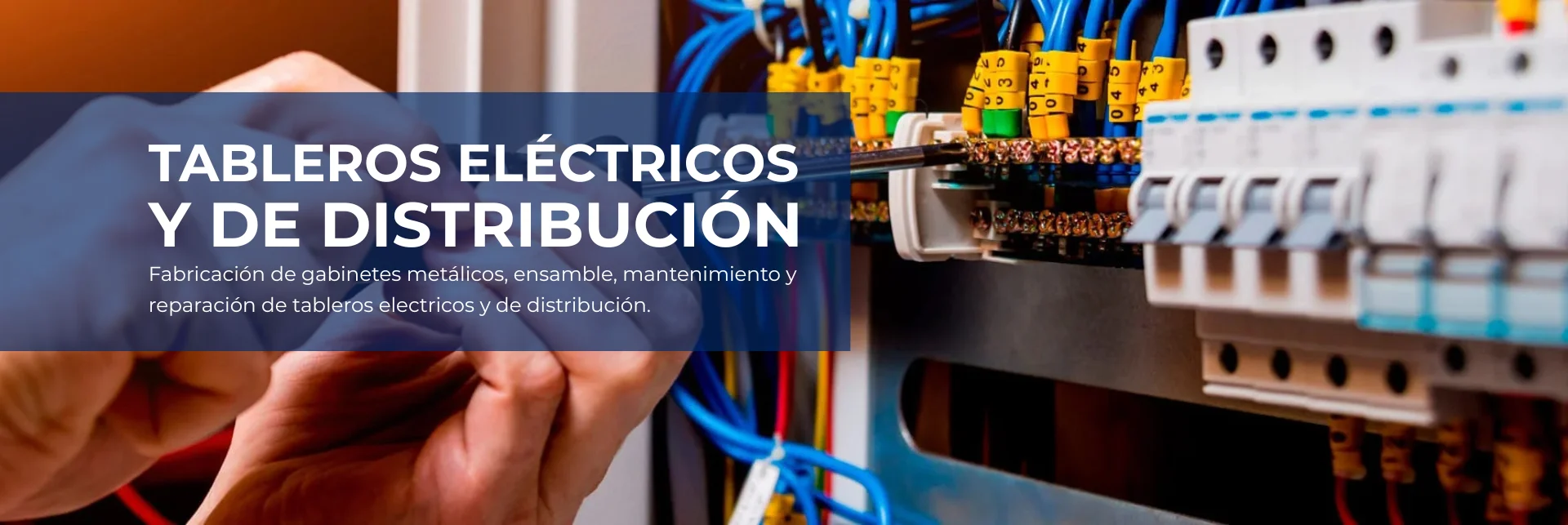 Título (6)